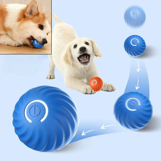 Pelota automática de juguete para perros