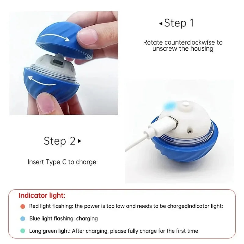 Pelota automática de juguete para perros