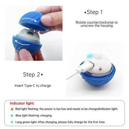 Pelota automática de juguete para perros