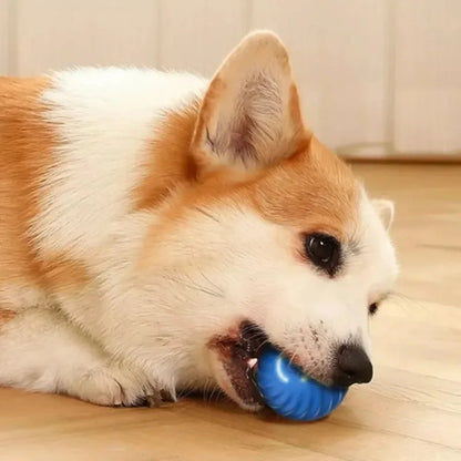 Pelota automática de juguete para perros