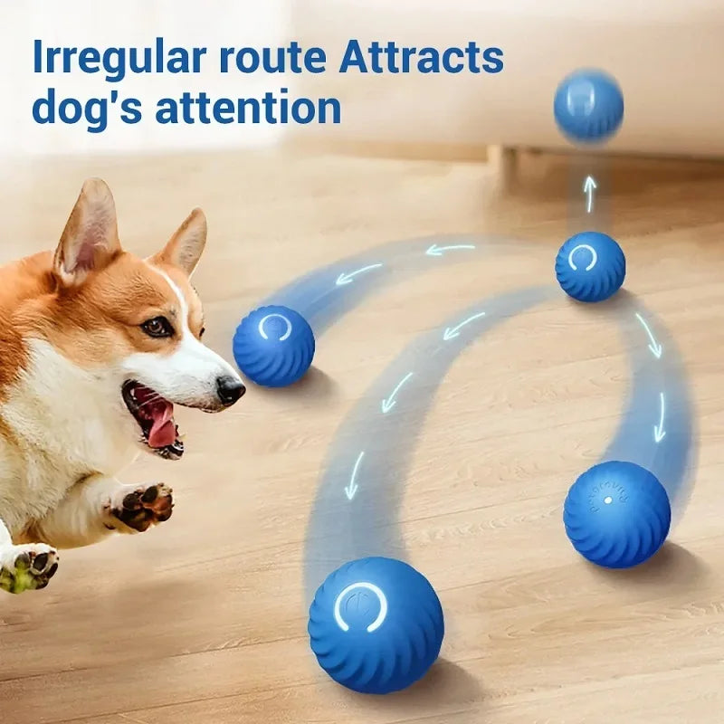 Pelota automática de juguete para perros