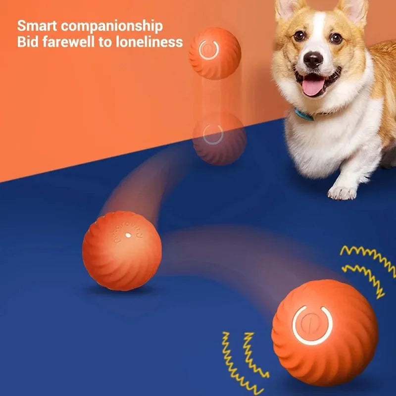 Pelota automática de juguete para perros