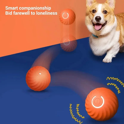 Pelota automática de juguete para perros