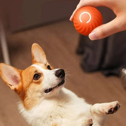 Pelota automática de juguete para perros